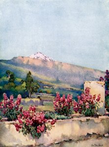Le Pic, depuis Villa Orotava - Ella Du Cane