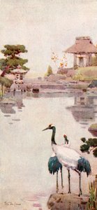 Les cigognes - Ella Du Cane