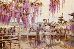 Wistaria, Kameido - Ella Du Cane