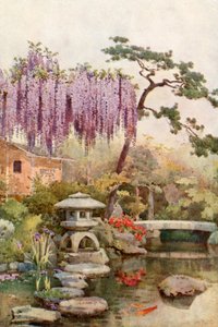 Glycine dans un jardin de Kyoto - Ella Du Cane