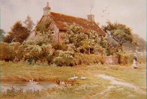 Une femme et des canards près d