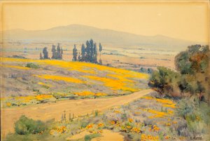 Paysage printanier de Californie