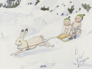 Le lièvre des neiges
