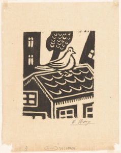Pigeon sur un toit