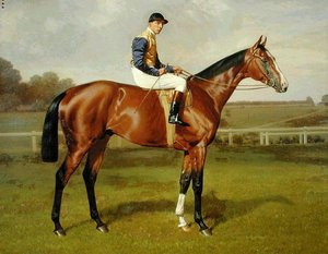"Spearmint", vainqueur du Derby de 1906, 1906 - Emil Adam