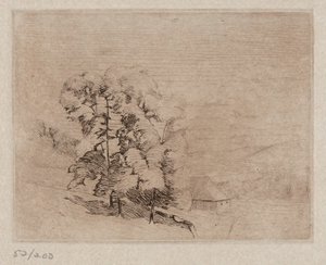 Paysage du Connecticut