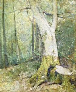 Forêt intérieure