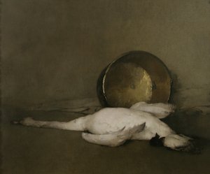 Le cygne sauvage