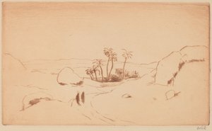 Oasis dans le désert