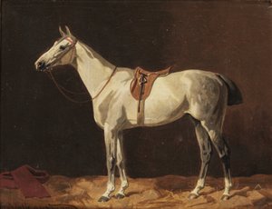 Un cheval gris sellé attendant dans une écurie - Emil Volkers
