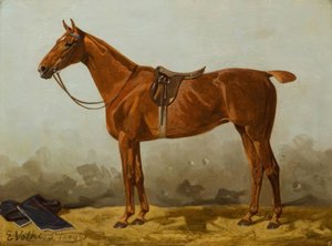 Cheval sellé - Emil Volkers