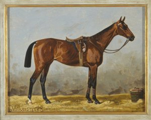 Cheval brun sellé