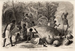 Dégustation du pombe (boisson alcoolisée par fermentation), dans le Karague (ouest du lac Victoria, dans l