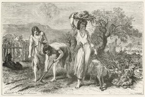La culture des jardins à l