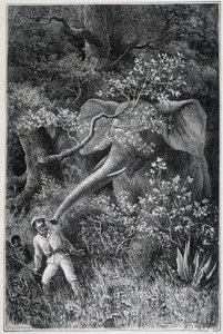 Livingstone surpris par un éléphant, dans "Le Tour du Monde" - Emile Antoine Bayard