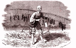 Tueur de rats en Chine. 1874 (gravure) - Emile Antoine Bayard