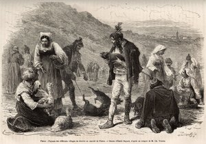 Les paysans des environs de Pisino (Croatie), se rassemblent pour la vente de leurs produits agricoles sur le marché : volaille, porcelets..., gravure d
