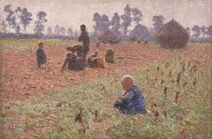 Lecteurs d