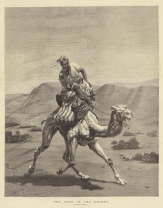 Le poste du désert