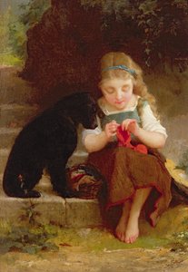 Image inconnue