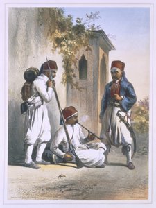 Nizamior, troupes régulières de l
