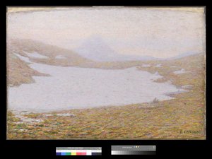 Printemps dans les montagnes