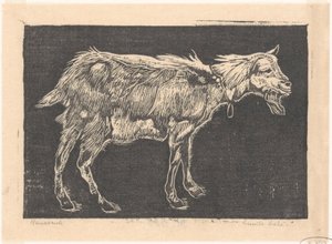 Chèvre - Emilius Wilhelmus Dehé (signed by artist)