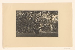 Vieil arbre - Emilius Wilhelmus Dehé (signed by artist)