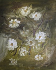 Fleurs blanches délicates - Emily Tingey