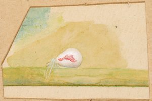Araignée blanche en porcelaine - Emma Beach Thayer