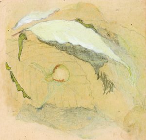 Araignée blanche en porcelaine - Emma Beach Thayer