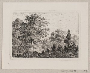 Paysage forestier - Emma Meyer