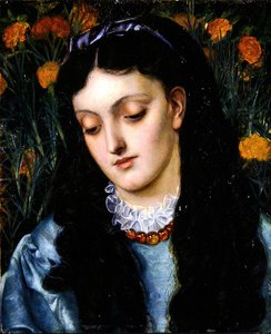 La Belle Jaune Giroflée