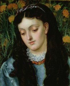 La Belle Giroflée