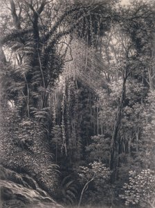 Vue de la gorge au-dessus d