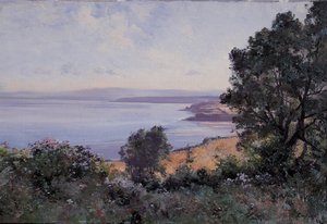 Douarnenez, blé et arbres en vue