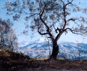 La région autour de Menton, près de Roquebrune - Emmanuel Lansyer