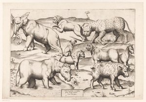Neuf animaux - Enea Vico (attributed to)