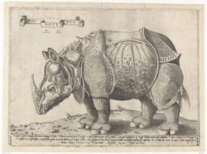Rhinocéros