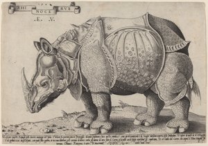 Rhinocéros - Enea Vico after Albrecht Dürer