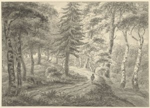 Vue de forêt - Engelbert Michaël Engelberts