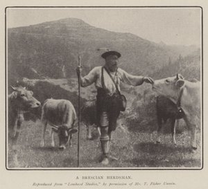 Un berger de Brescia - English Photographer