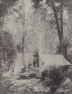 Un camp dans la brousse, Tasmanie - English Photographer