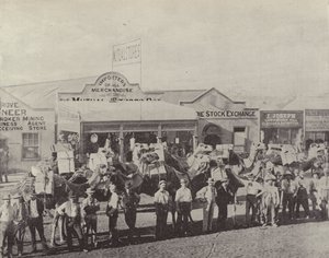 Un train de chameaux, Coolgardie, Australie-Occidentale - English Photographer