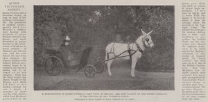 Un souvenir de la dernière visite de la reine Victoria en Irlande, Sa défunte Majesté dans son chariot à âne dans les jardins du Viceregal Lodge