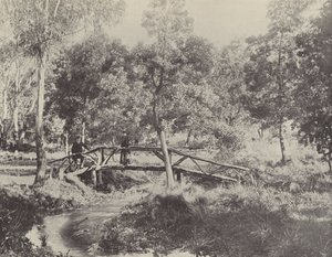 Un pont rustique, réserve d
