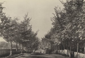 Aldeburgh, Westfields Avenue (photo n/b) - English Photographer
