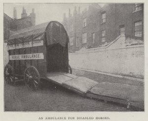 Une ambulance pour chevaux handicapés - English Photographer