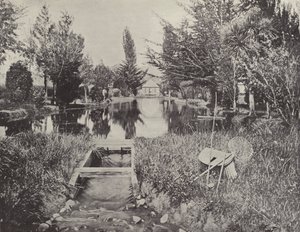 Aux étangs à saumon, New Norfolk - English Photographer