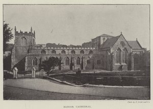 Cathédrale de Bangor - English Photographer